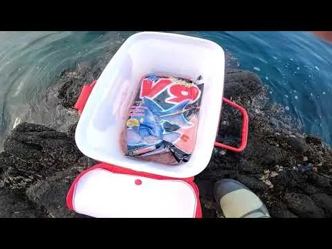 釣行記
