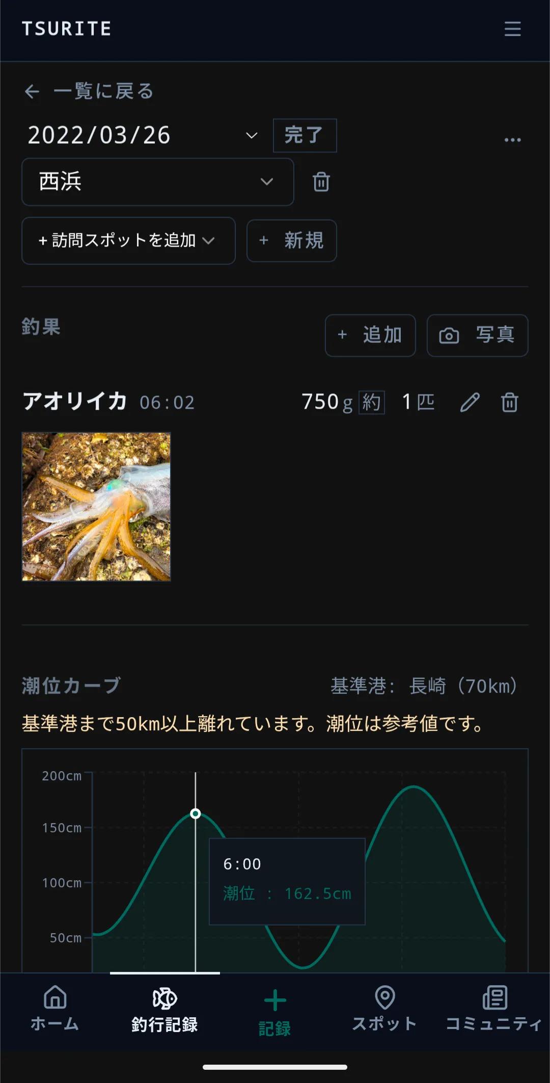tsurite